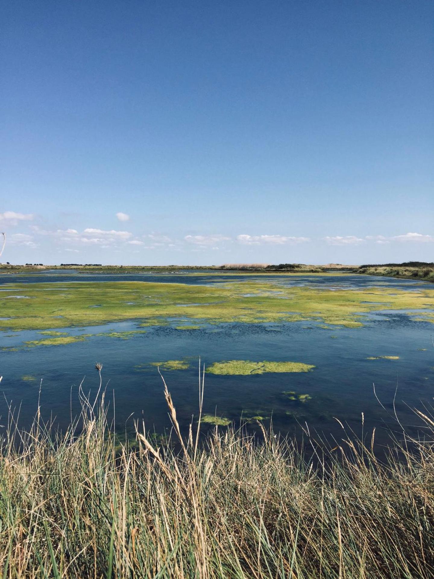 Gite De Caractere A Moins De 10Min Des Plages Saint-Michel-en-l'Herm Exterior foto